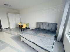 紫金广场 图片真实 精装一室 盛世桃城 全新家具家电 可短租