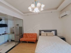 武汉黄陂武湖精英公馆(黄陂) 电梯房 1室1厅1卫 精装修出租房源真实图片