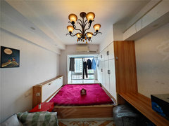 金科米兰尔家公寓 1室1厅1卫  电梯房 精装修40平米