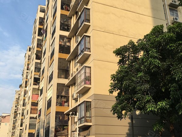 【多图】富宁新兴苑(北区),五一路租房,富宁新兴苑北区2房2厅1卫精