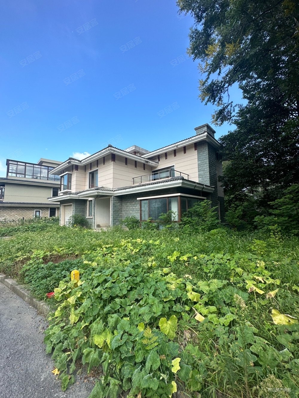 丰泽园独栋别墅南花园 北临河花园600平 纯毛坯