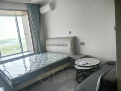 临沂郯城城区出租城市之光 南户朝阳 精装修一室一厅 拎包入住出租房源真实图片