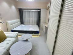 合肥新站火车站天目未来，三号线鸭林冲地铁旁，临泉花苑，火车站，浙皖汇附近出租房源真实图片