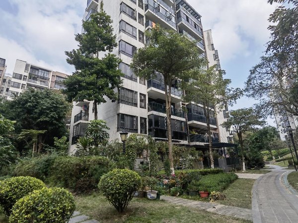 广州黄埔萝岗保利香雪山(南区)保利香雪山洋房4房  室内干净整洁 交通