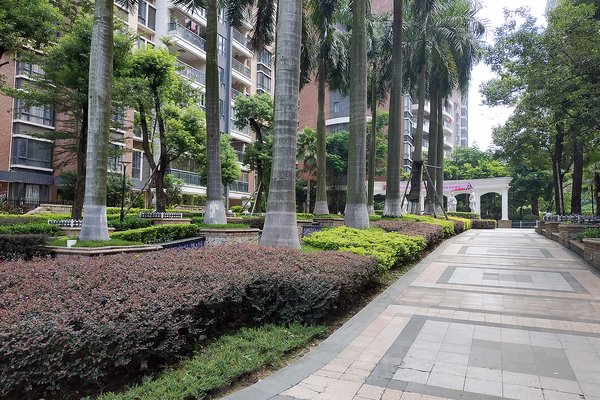 揭阳小区 普宁小区 南平路小区 中信华府