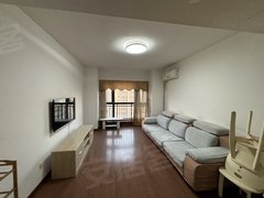 合肥新站家天下家天下内复式，家电齐全，实图，随时看，急租出租房源真实图片