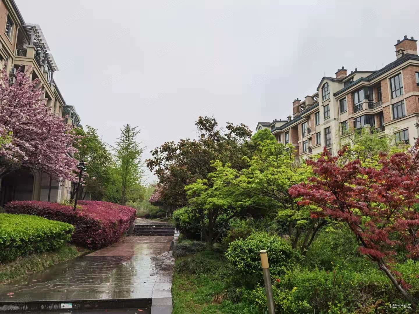 1室一厅精装193万,绿城桂花园二手房,193万,1室1厅,1卫,51平米-合肥