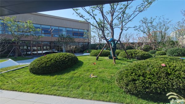 鲁商金茂观海印象优点,不足,烟台鲁商金茂观海印象怎么样,鲁商金茂