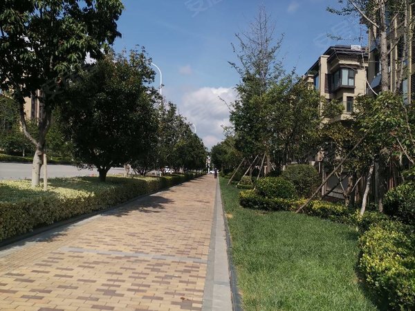 青岛城阳夏庄丹山和谐家园东方城无物业费  精装3室2厅 领包入住