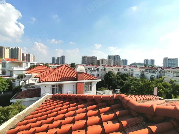 广州增城新塘碧桂园凤凰城凤鸣苑送380平大花园  有鱼池果树 离学校近