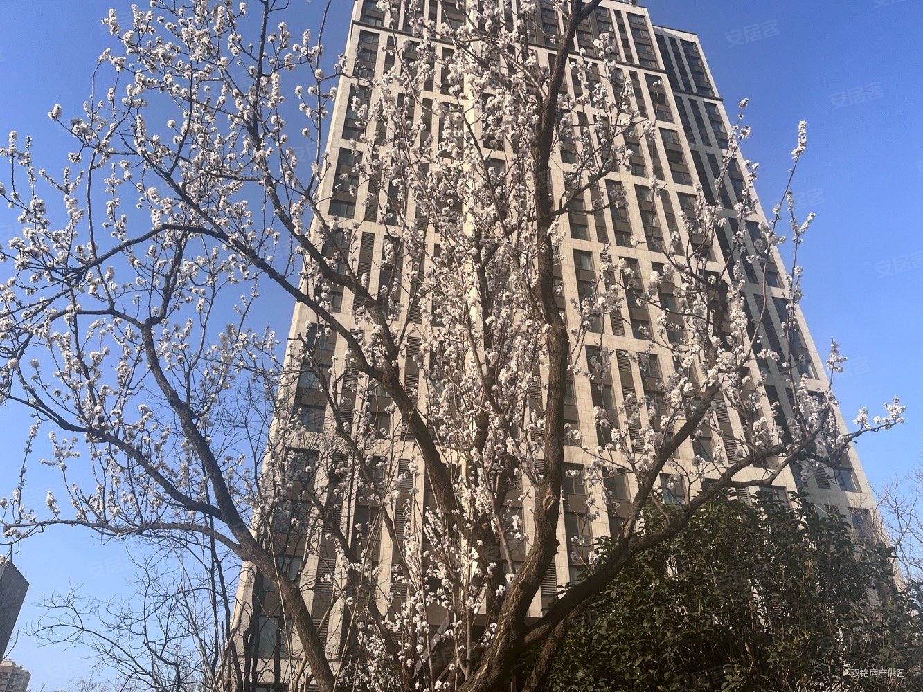 郑地美景东望1期3室2厅2卫137.53㎡南北145万