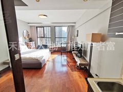 北京朝阳东大桥国贸世界城 豪华开间 全新家私 可月租 随时看房 采光好出租房源真实图片