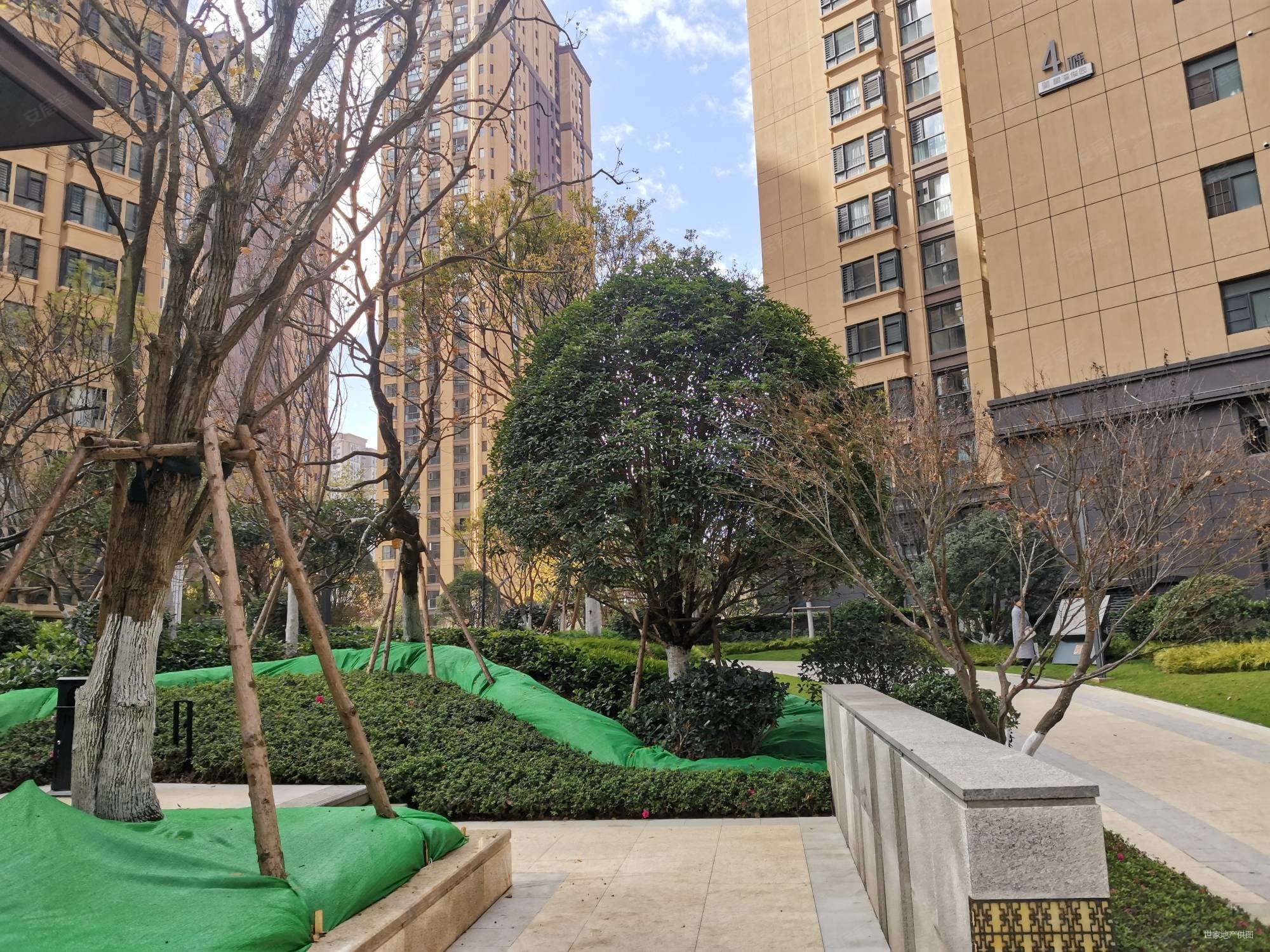 彩云城 星湾俊园 西南端头 房东急售 全新精装修,俊发星湾俊园二手房