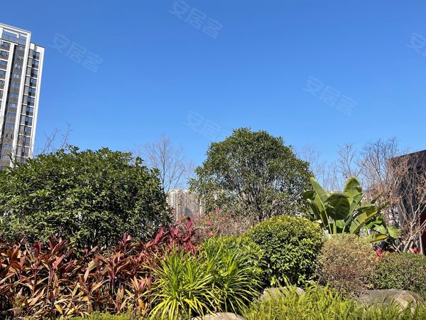 福州晋安东二环景湖新苑景湖佳园精致套房,装修很ok有情调的赶紧冲吧