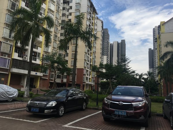 【多图】丰庭花园,金洲租房,金洲地铁站旁 丰庭花园 房东好说话 随时