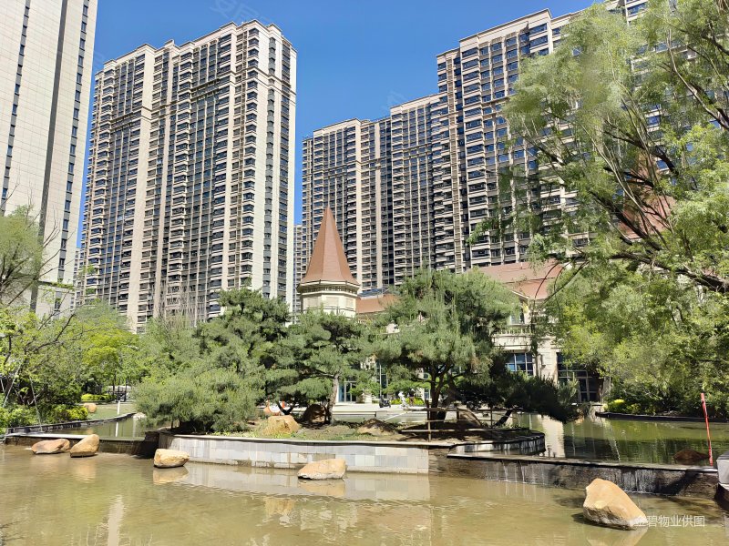 好房急售 恒大御景湾3居室 空家出 急售 可看房