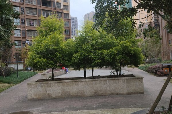 资阳小区 乐至小区 川鄂东路小区 世俊国际