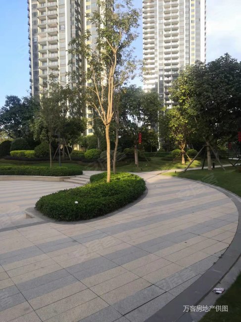 碧桂园中央公园