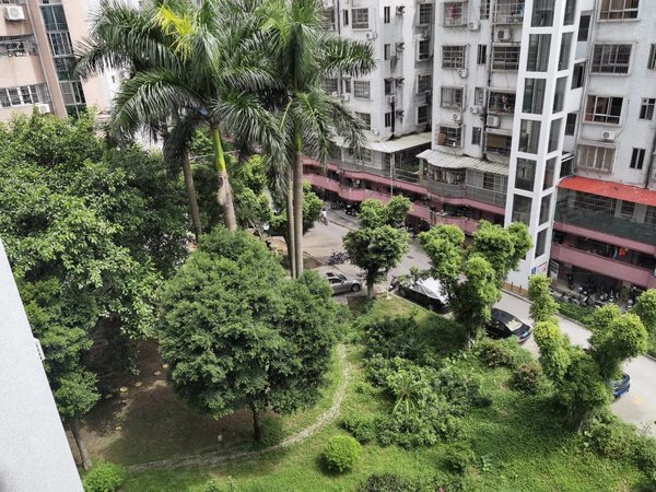 广州番禺大石金城花园金城花园 有绿化 游泳池出租房源真实图片