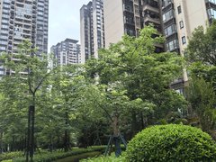 南宁良庆良庆镇中南紫云集 4室2厅2卫出租房源真实图片