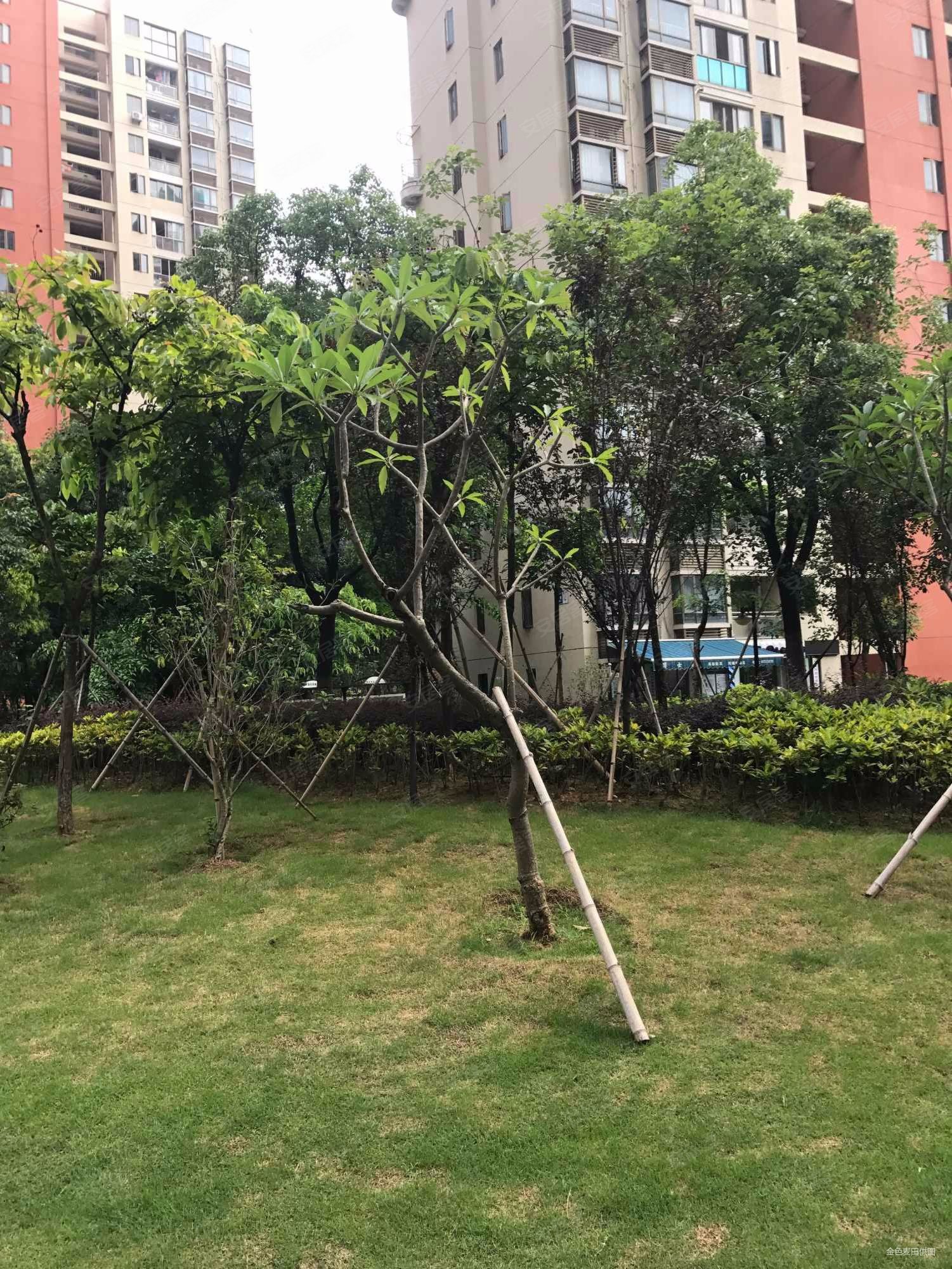 绿苑新城三组团