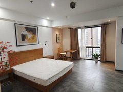 佳源广场精装公寓可做直播间，大一室，有投影，1500一个月