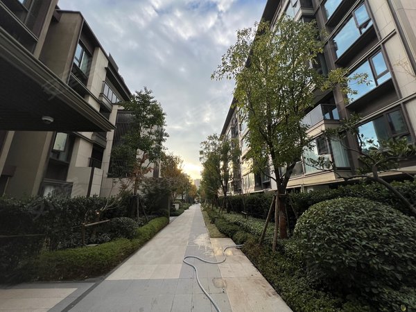 上海闵行诸翟香港置地虹庐湾虹庐湾中叠出租,家具家电齐全,看房方便