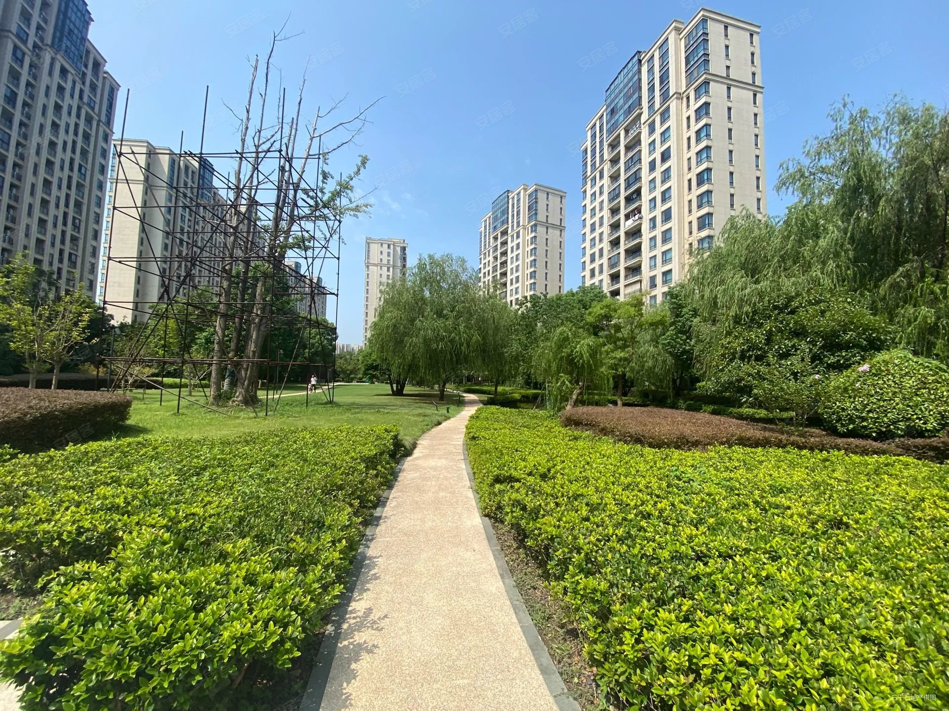 仁恒西郊花园 精装修 南北通透 楼龄新 中间好楼层 商品住宅