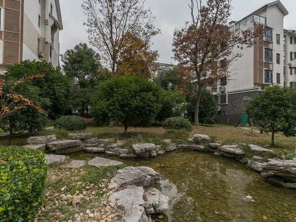 苏州姑苏姑苏城区水城丽都水城丽都 近鼎泰花园 南环新村 吴中大厦