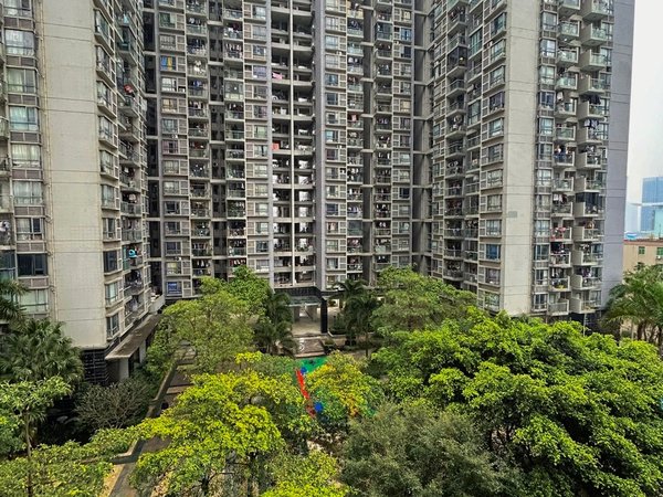 【多图】华南西苑,平湖租房,华南西苑一房一厅出租通燃气带阳台 现房