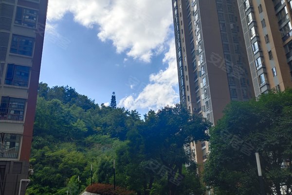 贵阳小区 南明小区 花果园兰花广场小区 花果园l1区 花果园l1区怎么样