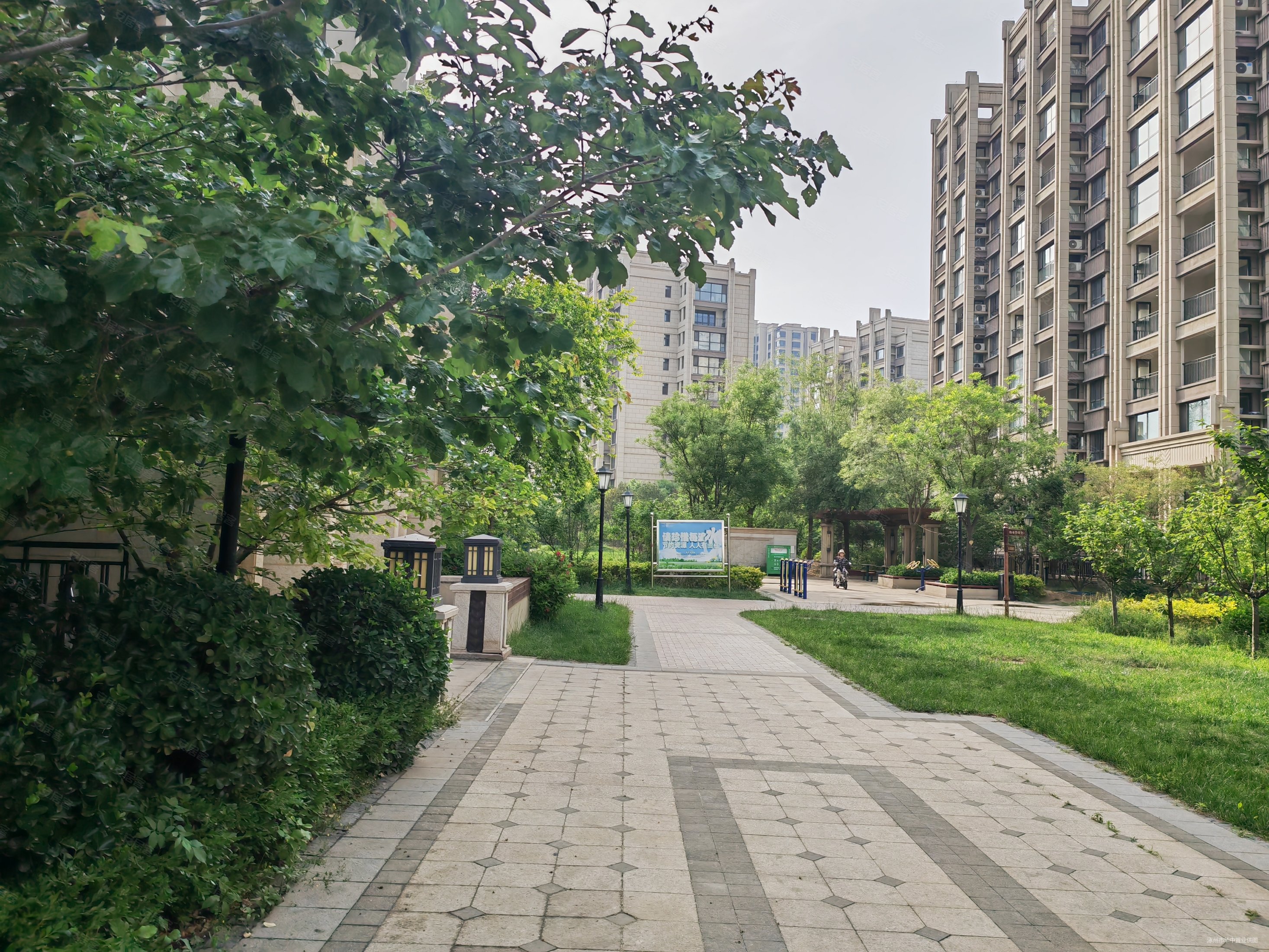 断臂求生花园别墅190平110万跃层带院子绿化品质小区