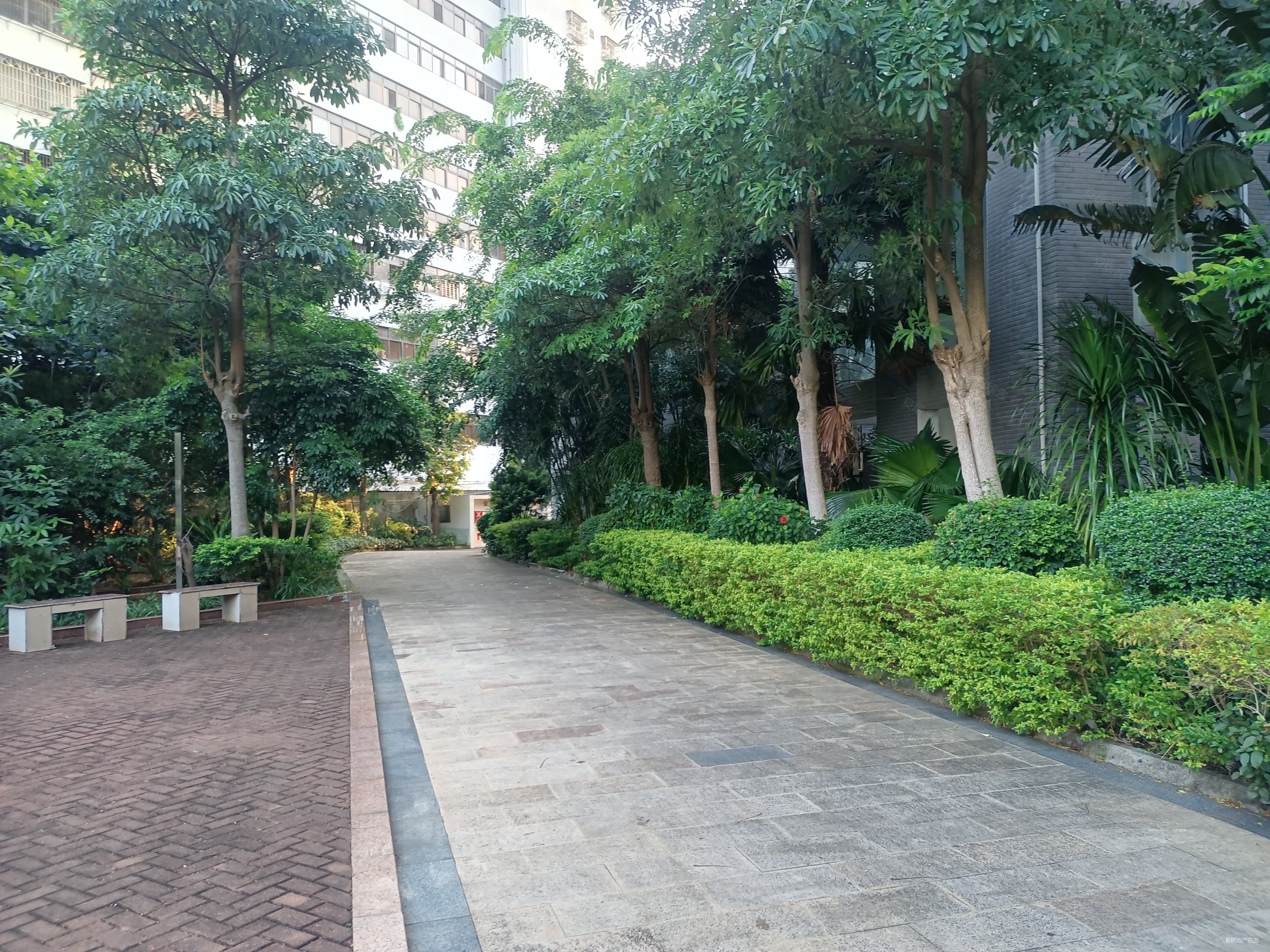 国贸人气小区置地花园跟我看房大胆出价说不定成交了