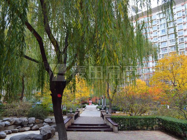 南北通透 4室2厅 中海馥园 有车位 可以长租 高层,海淀租房-北京58