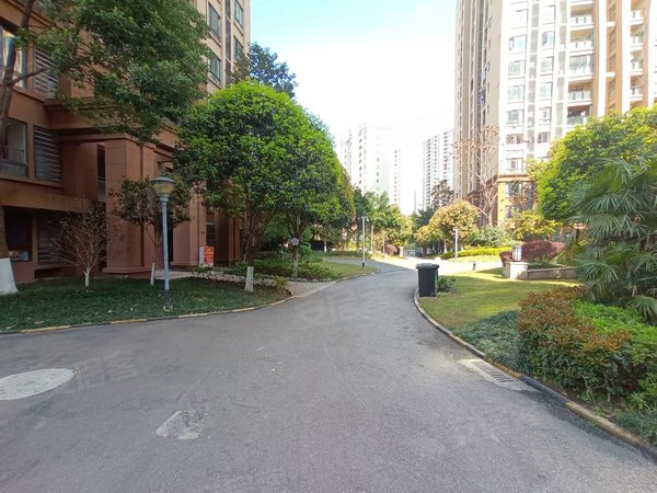 重庆涪陵李渡新区红星紫郡(涪陵)房源采光好,南北通透,业主诚意出出租