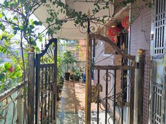 北海银海侨港禧悦湾两房出租 小区环境好 生活便利出租房源真实图片