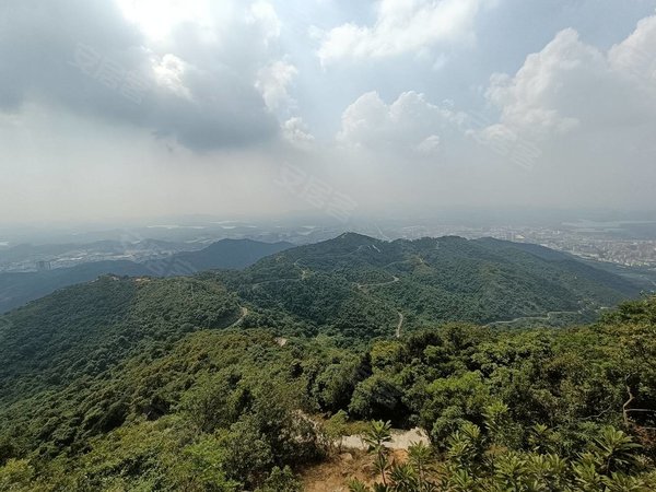 深圳宝安石岩塘头村石岩塘头 东海百货旁精装大单间 采光好家电齐全