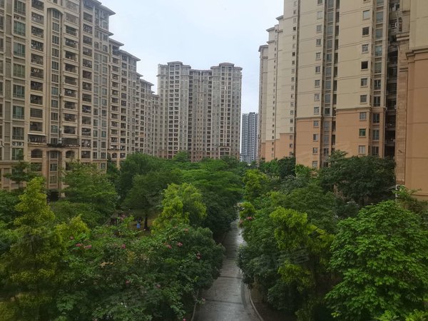 【多图】中森茗苑,新塘租房,中森茗苑,三房出租,租金可谈随时看房