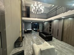 常州武进大学城大学城高新区 天安数码城(商住楼) 2室2厅1卫 自住装修出租房源真实图片