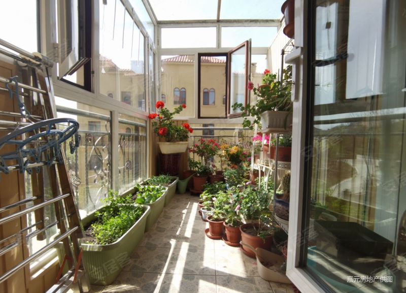 麦迪逊花园