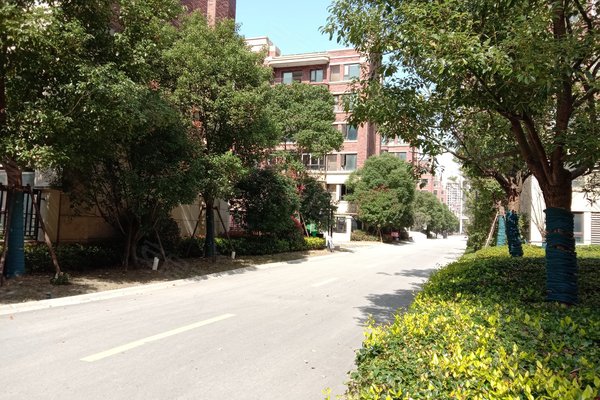 绿地江南华府优点,不足,苏州绿地江南华府怎么样,绿地江南华府周边