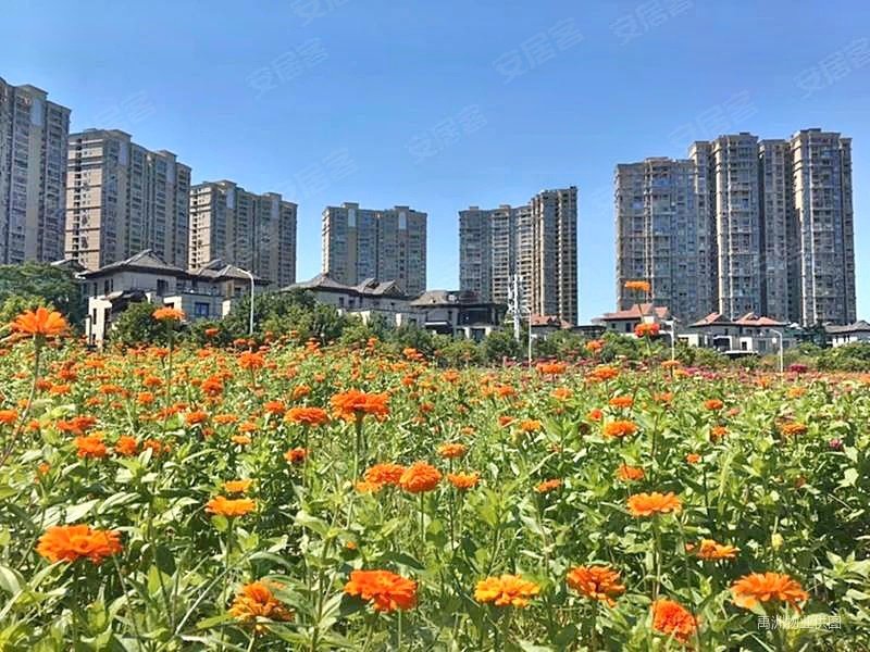 厦门房产网>厦门二手房>海沧二手房>未来海岸片区二手房>禹洲尊海