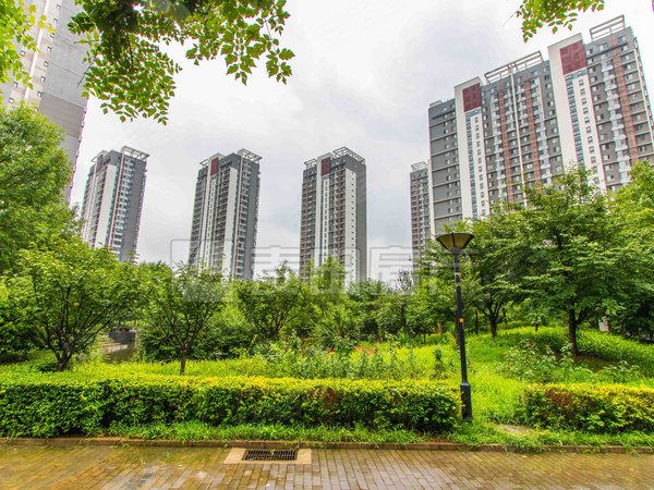 头次出租 国风上观三居室南北通透 装修好 随时起租,朝阳租房-北京58