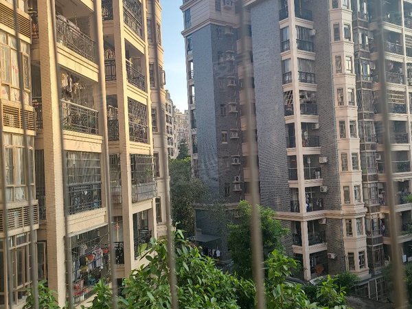 广州增城新塘海伦堡花园价格可谈,业主好说话出租房源真实图片