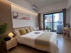 岳阳岳阳楼商业步行街无中介 云梦路 友阿奥特莱斯 东茅岭菜市场 君临新世界 月付出租房源真实图片