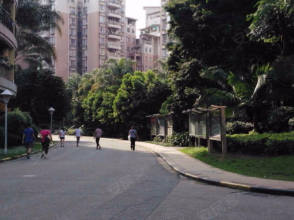 广州黄埔大沙地怡港花园怡港花园 2室2厅1卫 南北通透 精装修 电梯房