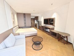 武汉洪山白沙洲江夏一室一厅 融创智谷 大花岭 江夏客厅。永旺 东湖学院出租房源真实图片