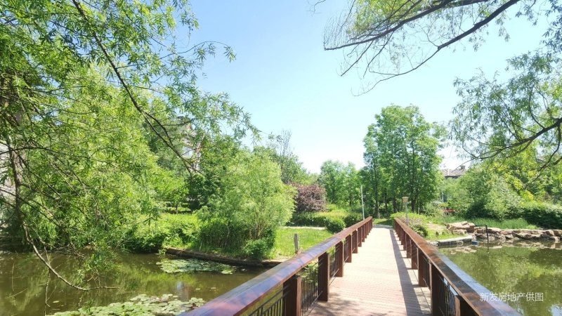 电梯洋房飞机户采光巨好万科惠斯勒小镇班芙花园