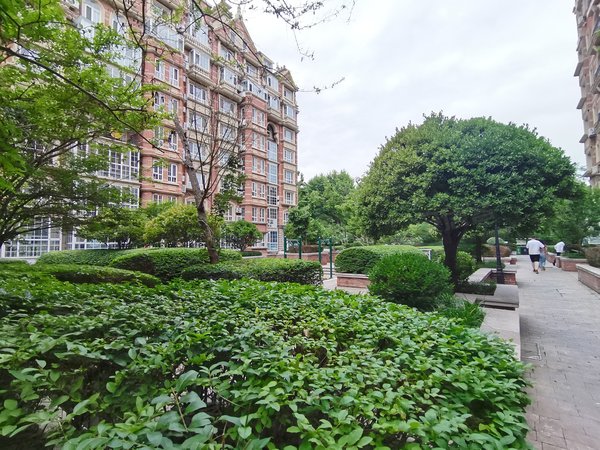 青岛黄岛长江路湛园海德公园(有密码)花园洋房,精装带电梯,环境好