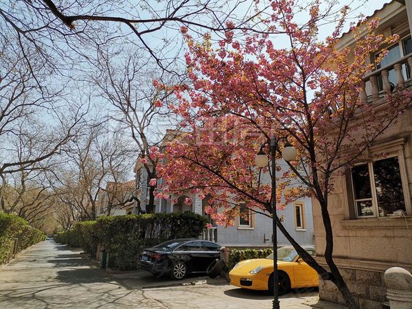 北京朝阳三元桥京润水上花园(别墅)南北通透 4室3厅  京润水上花园